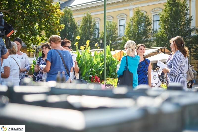 Alzheimer séta a belvárosban - fotó Szarka Lajos