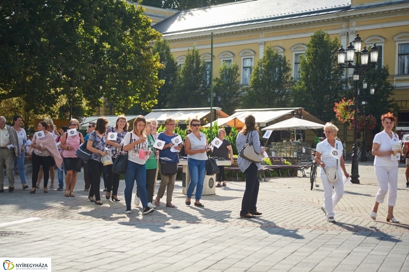 Alzheimer séta a belvárosban - fotó Szarka Lajos