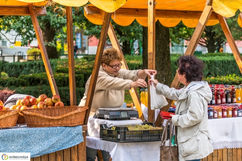 Kezdetét vette az idei Tirpák Fesztivál - fotó Kohut Árpád