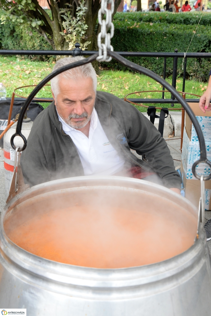 Tirpák Fesztivál szombat 1 -fotó Trifonov Éva