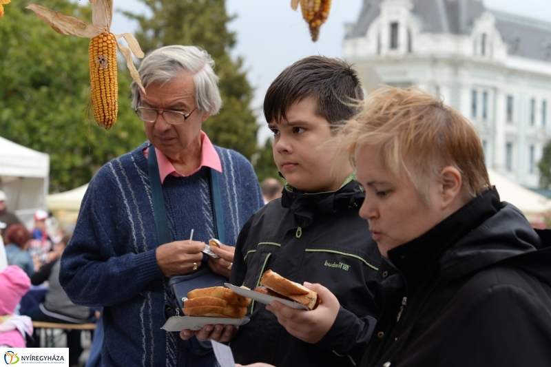 Tirpák Fesztivál szombat 2 - fotó Trifonov Éva