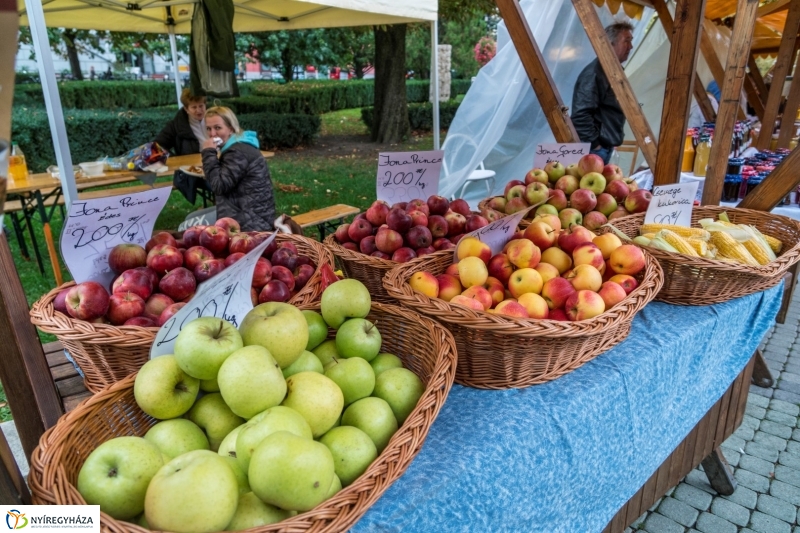 Szombat délután a Tirpák Fesztiválon - fotó Kohut Árpád
