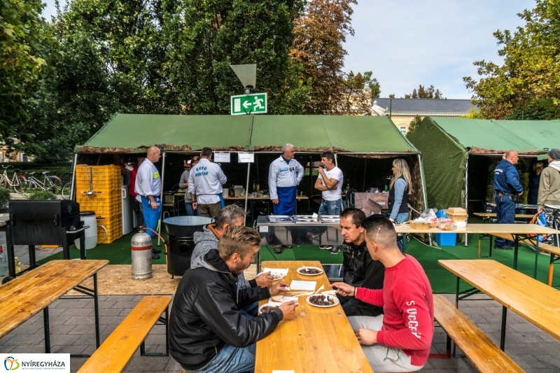 Kisütött a nap a Tipák Fesztiválon - fotó Kohut Árpád