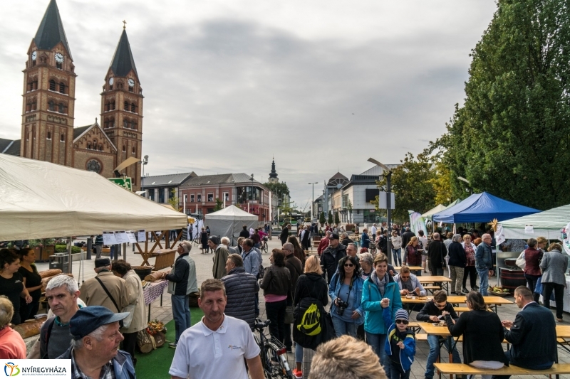 Kisütött a nap a Tipák Fesztiválon - fotó Kohut Árpád