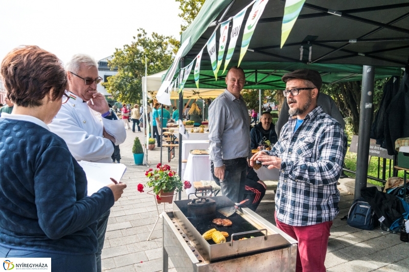 Kisütött a nap a Tipák Fesztiválon - fotó Kohut Árpád