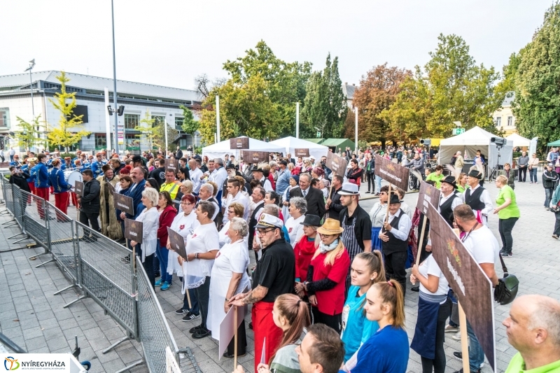 Kisütött a nap a Tipák Fesztiválon - fotó Kohut Árpád