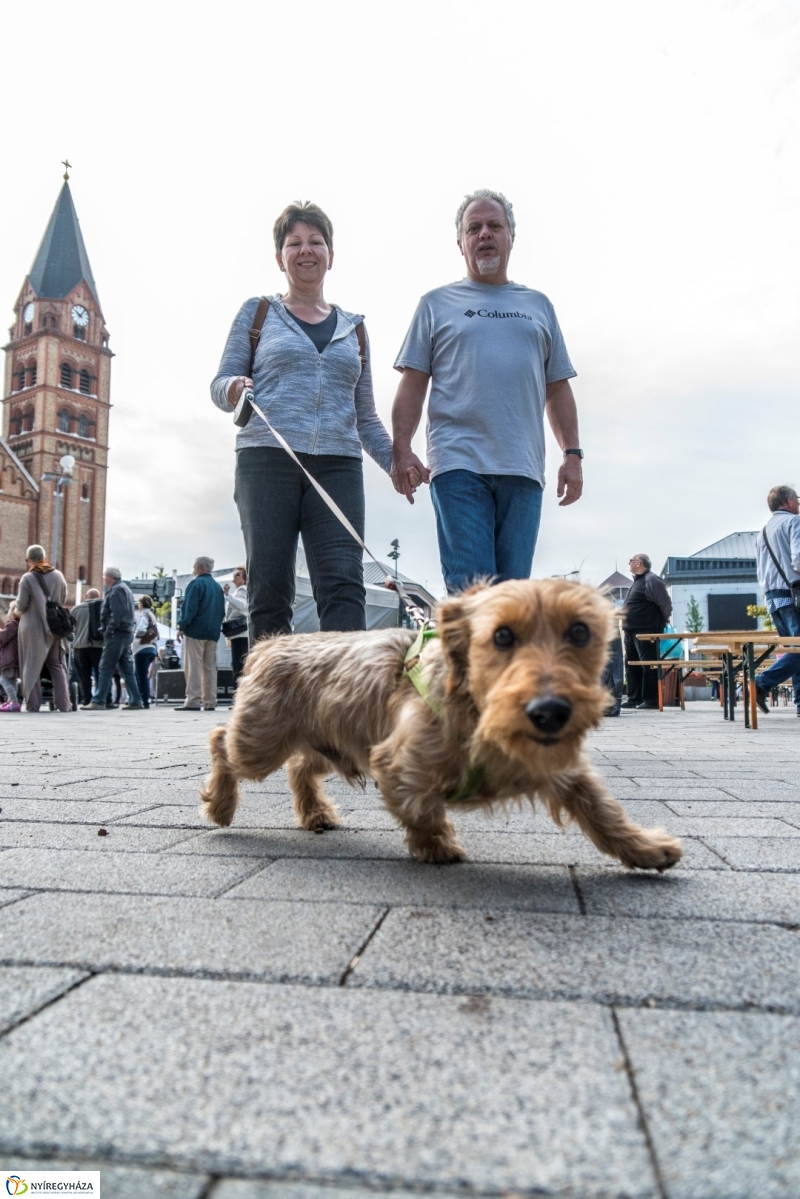 Kisütött a nap a Tipák Fesztiválon - fotó Kohut Árpád