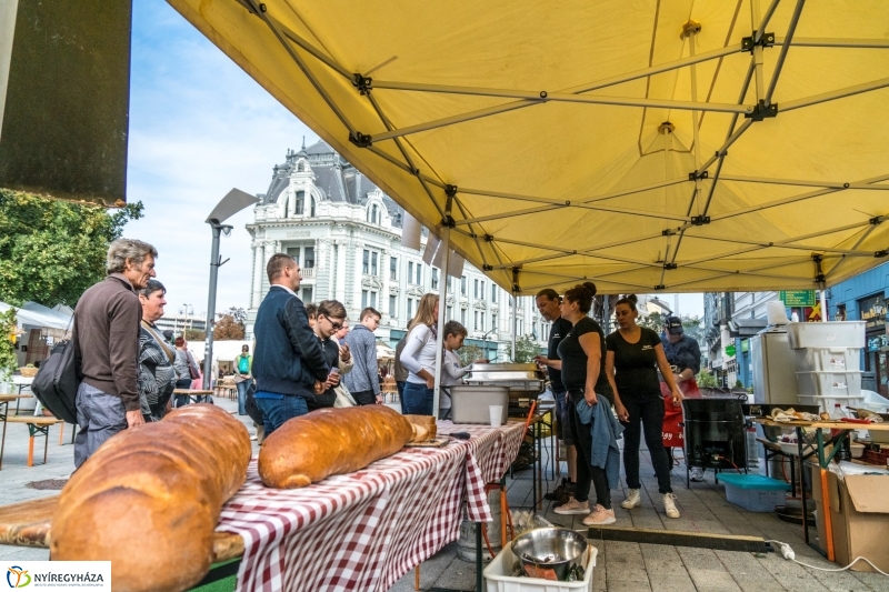 Kisütött a nap a Tipák Fesztiválon - fotó Kohut Árpád