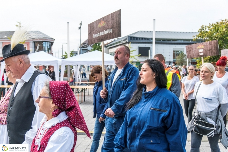 Kisütött a nap a Tipák Fesztiválon - fotó Kohut Árpád