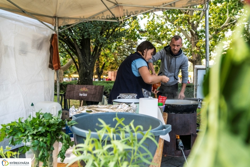 Kisütött a nap a Tipák Fesztiválon - fotó Kohut Árpád