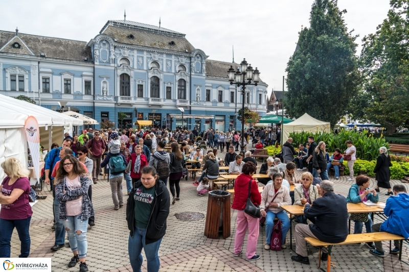 Kisütött a nap a Tipák Fesztiválon - fotó Kohut Árpád