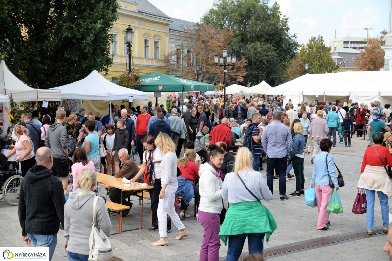 Vasárnap is Tirpák Fesztivál! - fotó Trifonov Éva