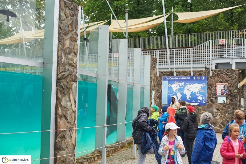 Ukrán szakemberek látogattak el az Állatparkba