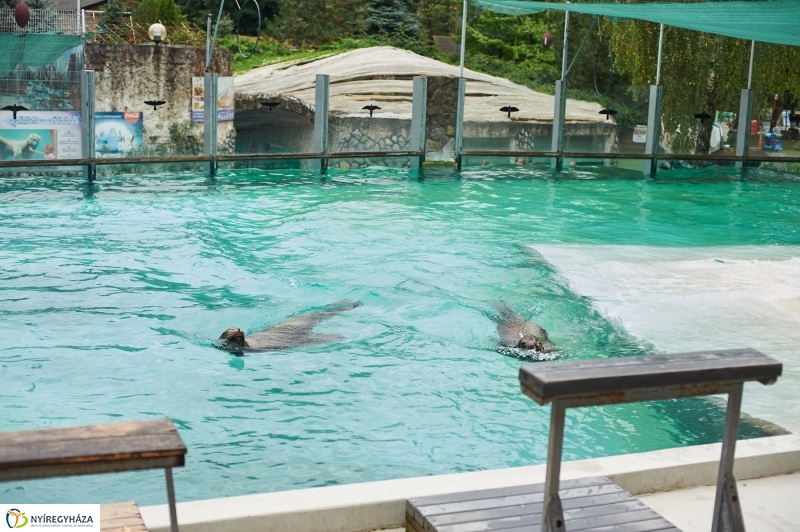 Ukrán szakemberek látogattak el az Állatparkba