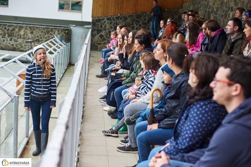 Ukrán szakemberek látogattak el az Állatparkba