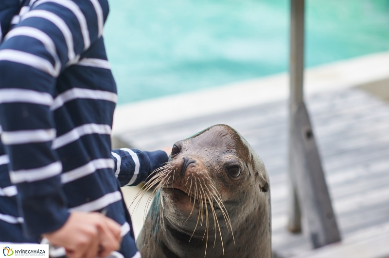 Ukrán szakemberek látogattak el az Állatparkba