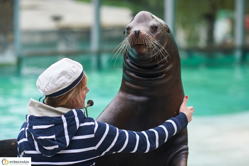 Ukrán szakemberek látogattak el az Állatparkba