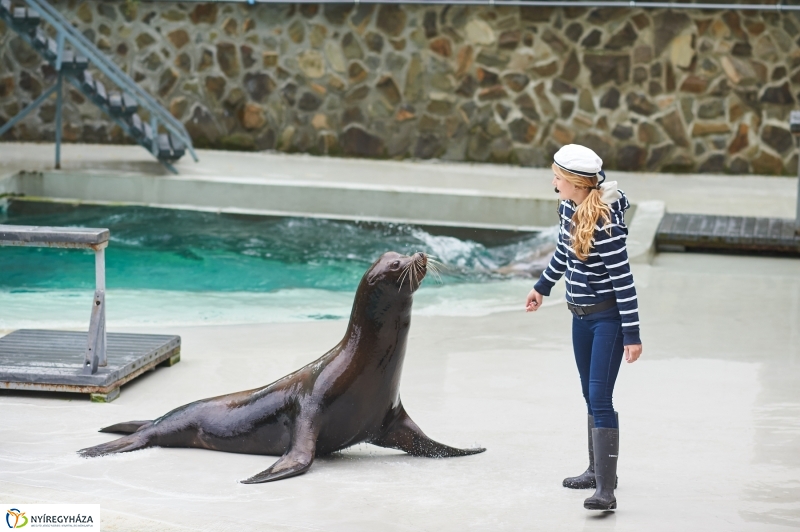 Ukrán szakemberek látogattak el az Állatparkba