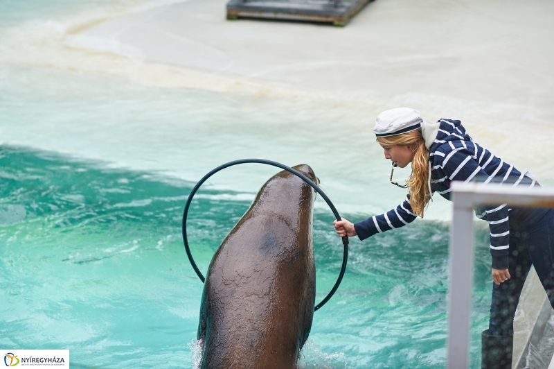 Ukrán szakemberek látogattak el az Állatparkba