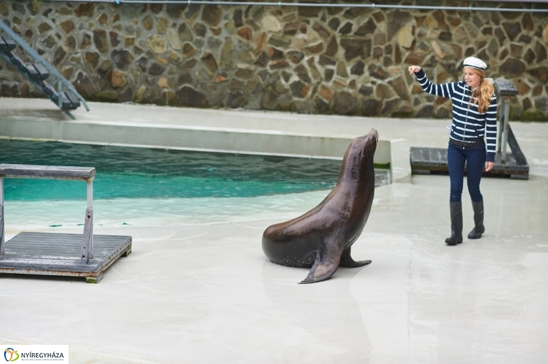 Ukrán szakemberek látogattak el az Állatparkba