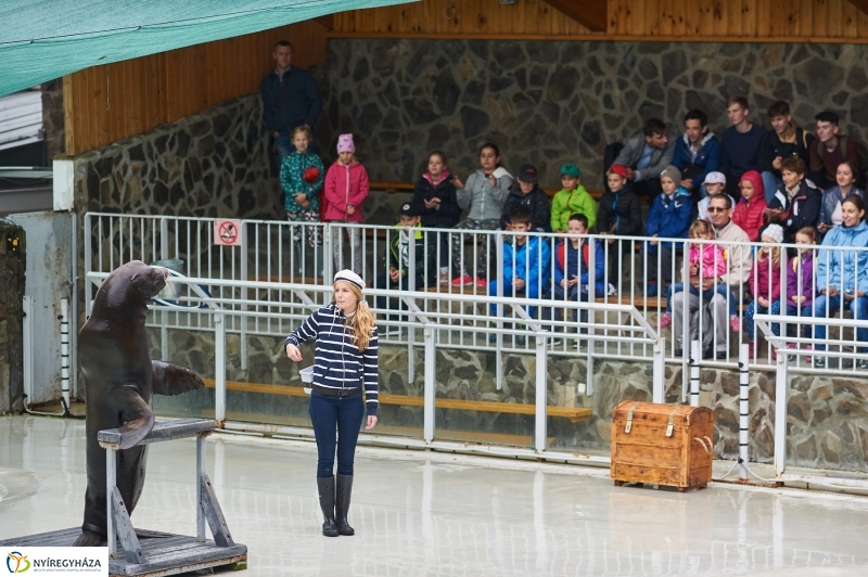 Ukrán szakemberek látogattak el az Állatparkba