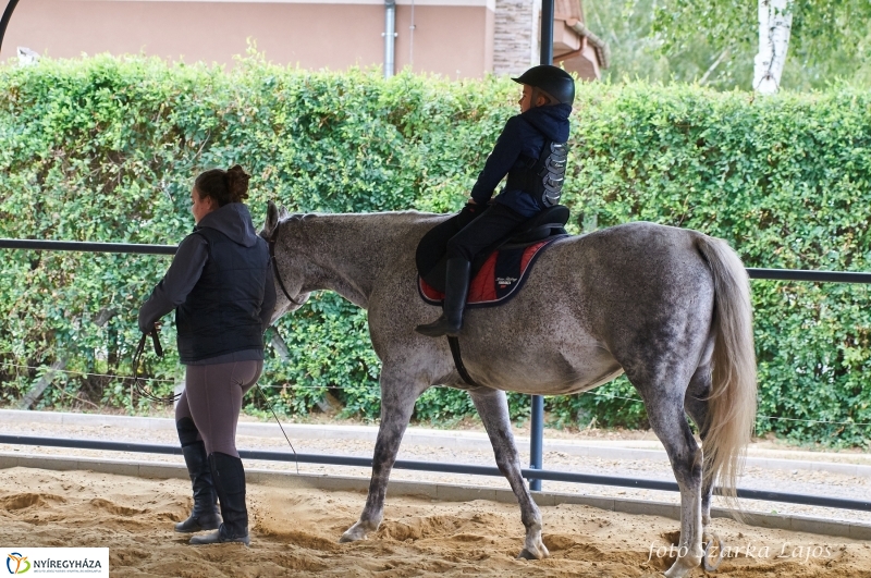Fogathajtó verseny Oroson - fotó Szarka Lajos