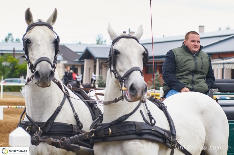 Fogathajtó verseny Oroson - fotó Szarka Lajos