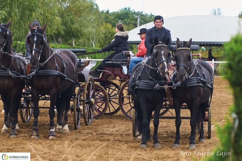 Fogathajtó verseny Oroson - fotó Szarka Lajos