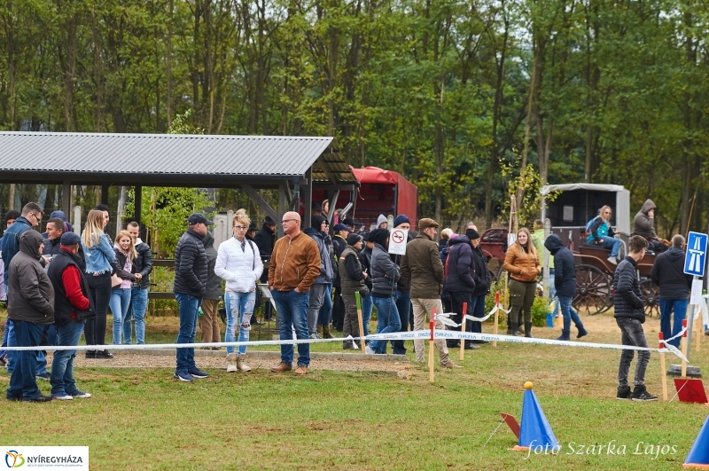 Fogathajtó verseny Oroson - fotó Szarka Lajos