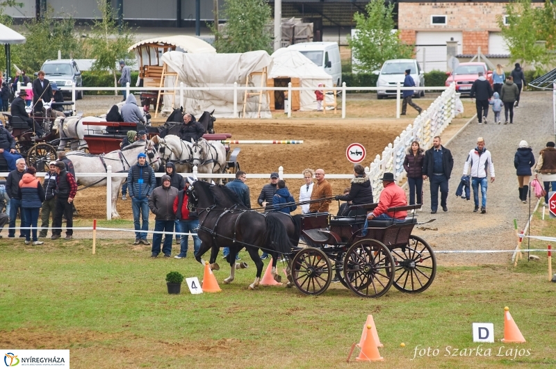 Fogathajtó verseny Oroson - fotó Szarka Lajos