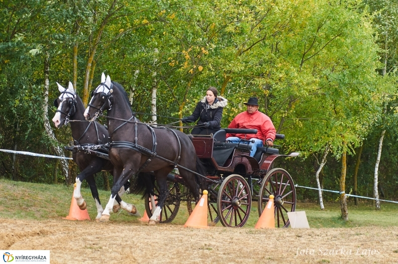 Fogathajtó verseny Oroson - fotó Szarka Lajos