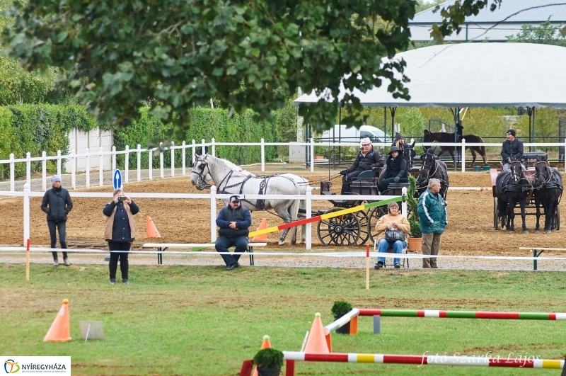 Fogathajtó verseny Oroson - fotó Szarka Lajos