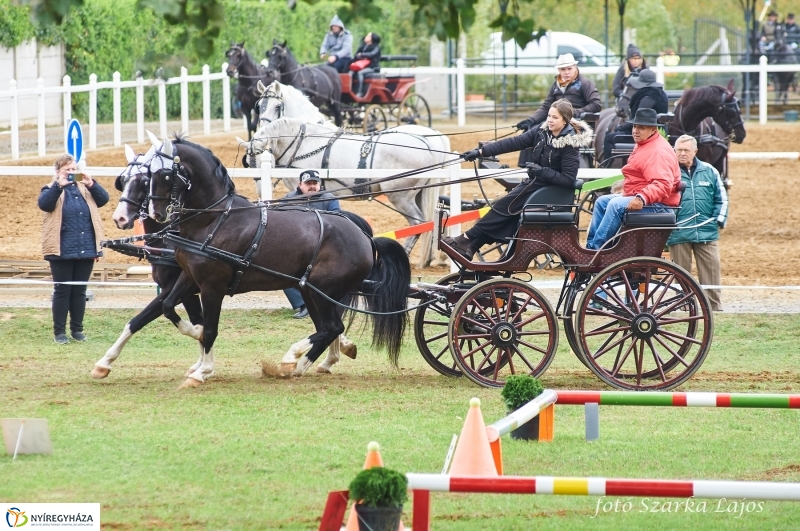 Fogathajtó verseny Oroson - fotó Szarka Lajos