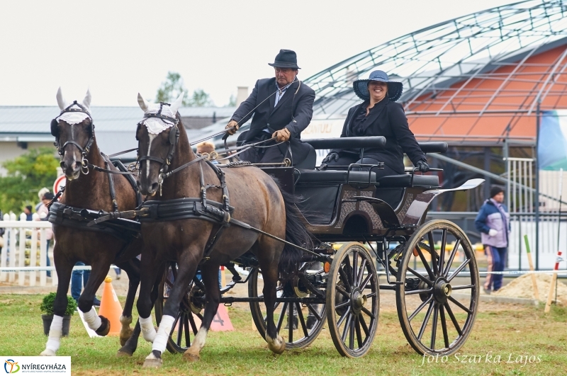 Fogathajtó verseny Oroson - fotó Szarka Lajos