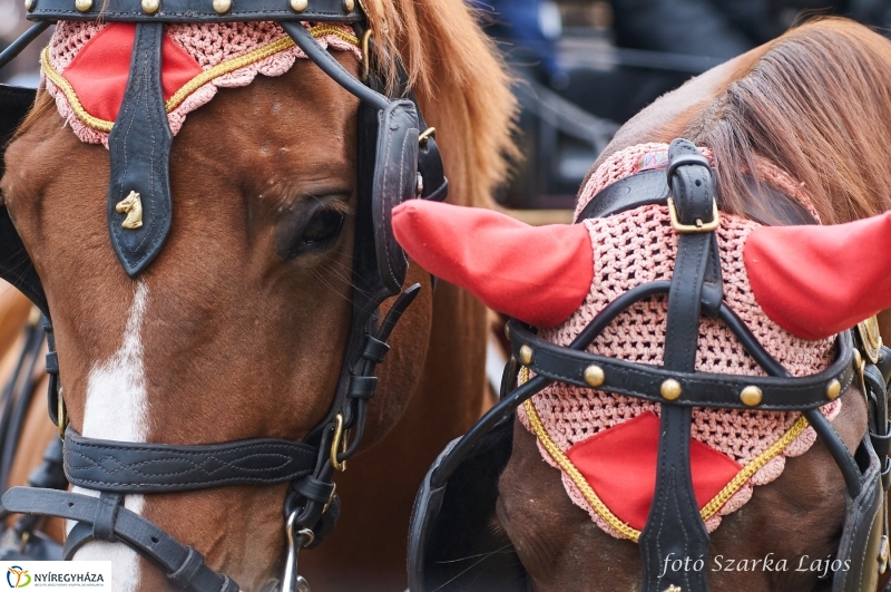 Fogathajtó verseny Oroson - fotó Szarka Lajos