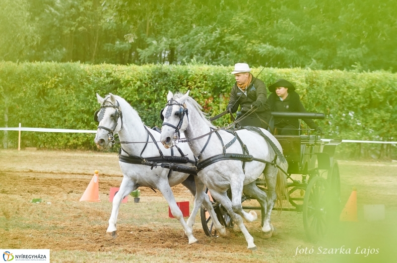 Fogathajtó verseny Oroson - fotó Szarka Lajos
