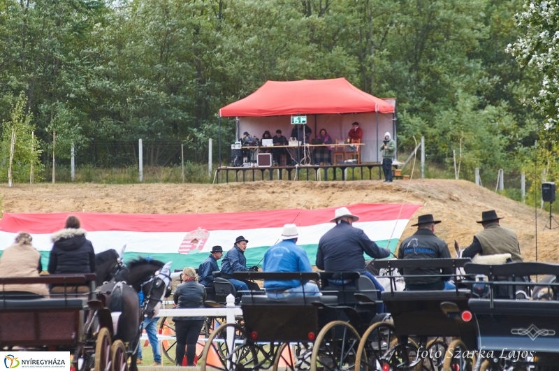 Fogathajtó verseny Oroson - fotó Szarka Lajos