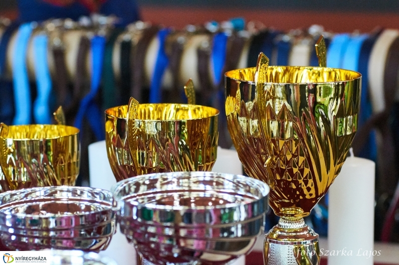 Fogathajtó verseny Oroson - fotó Szarka Lajos