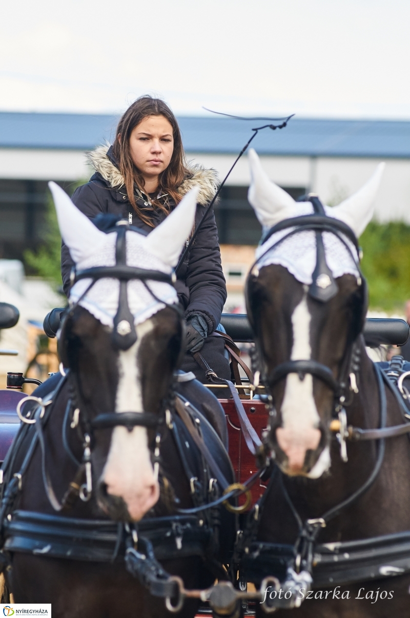 Fogathajtó verseny Oroson - fotó Szarka Lajos