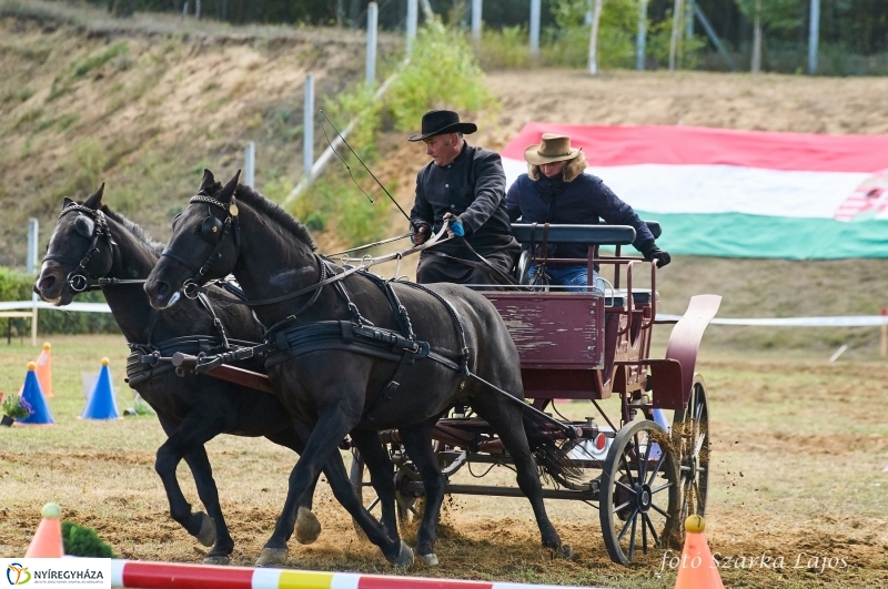 Fogathajtó verseny Oroson - fotó Szarka Lajos