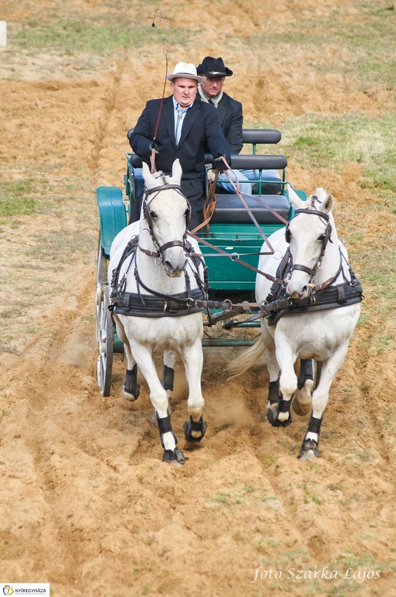 Fogathajtó verseny Oroson - fotó Szarka Lajos