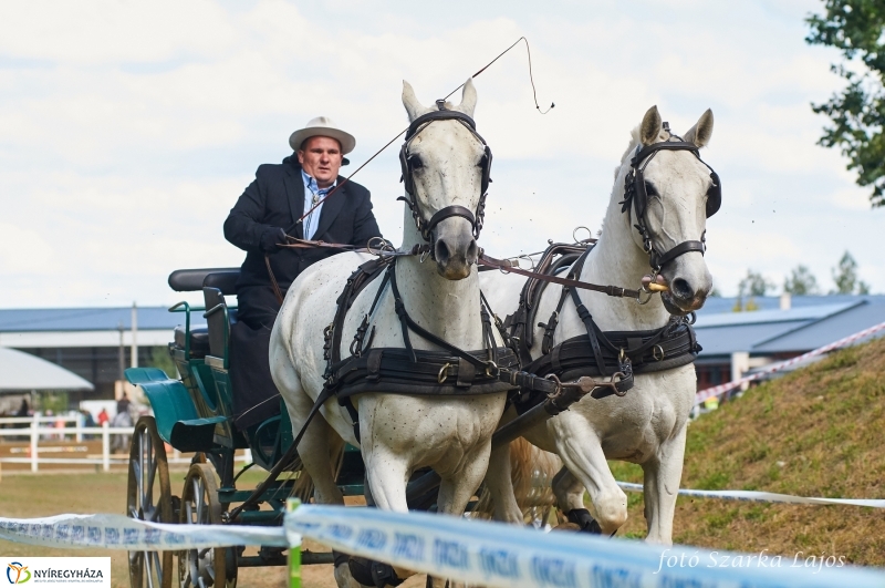 Fogathajtó verseny Oroson - fotó Szarka Lajos