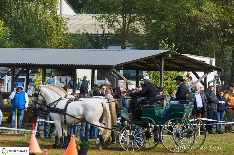 Fogathajtó verseny Oroson - fotó Szarka Lajos