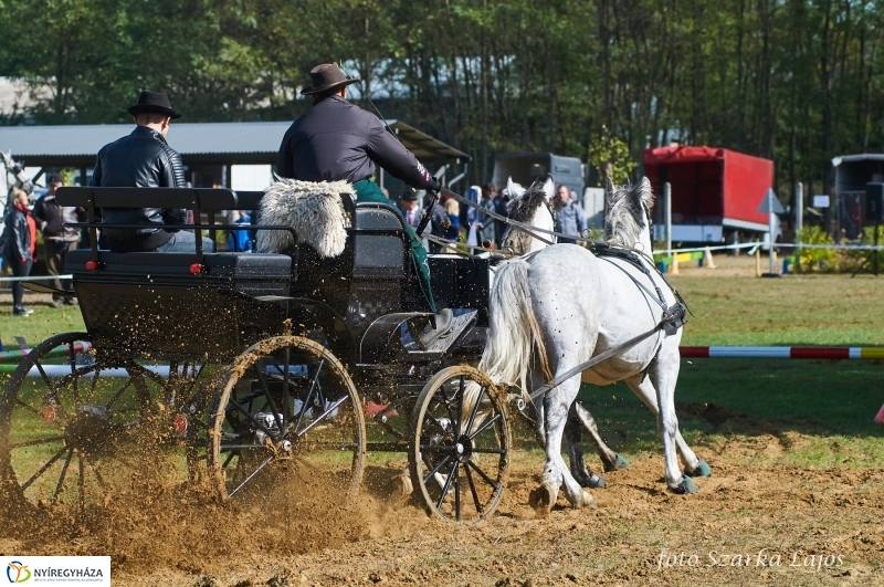 Fogathajtó verseny Oroson - fotó Szarka Lajos