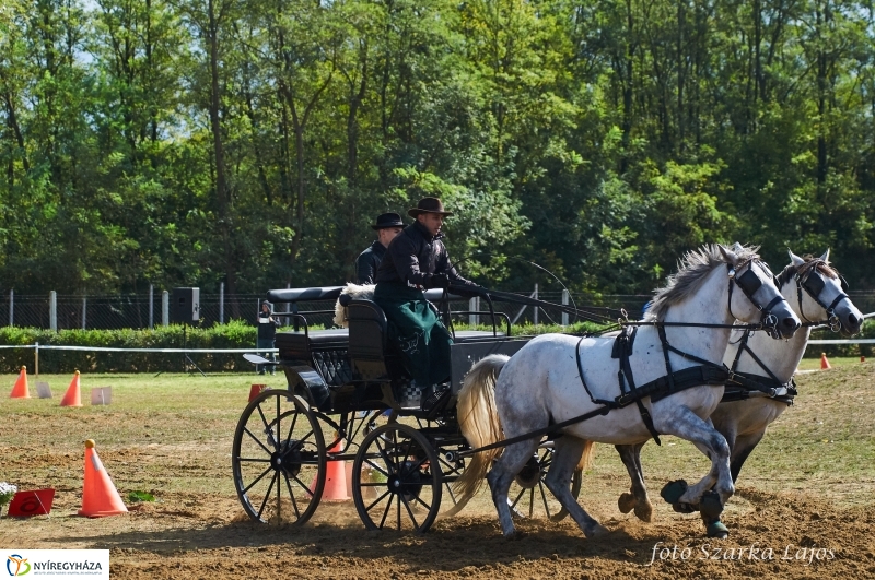 Fogathajtó verseny Oroson - fotó Szarka Lajos