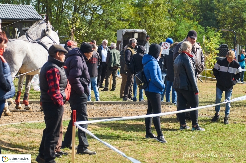 Fogathajtó verseny Oroson - fotó Szarka Lajos