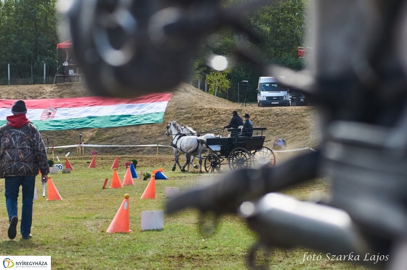 Fogathajtó verseny Oroson - fotó Szarka Lajos