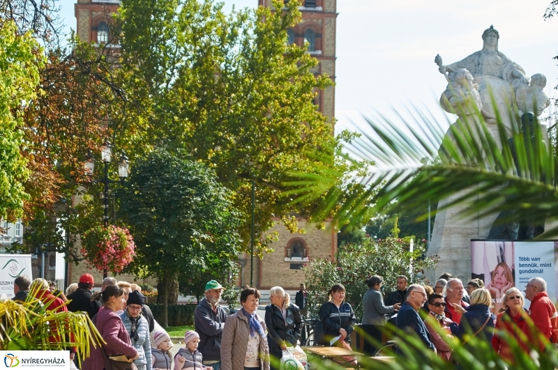Szív Világnapja 2018 - fotó Szarka Lajos