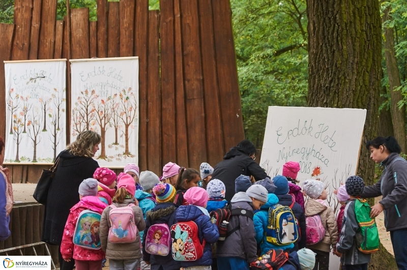 Ismerd meg az erdőt - fotó Szarka Lajos
