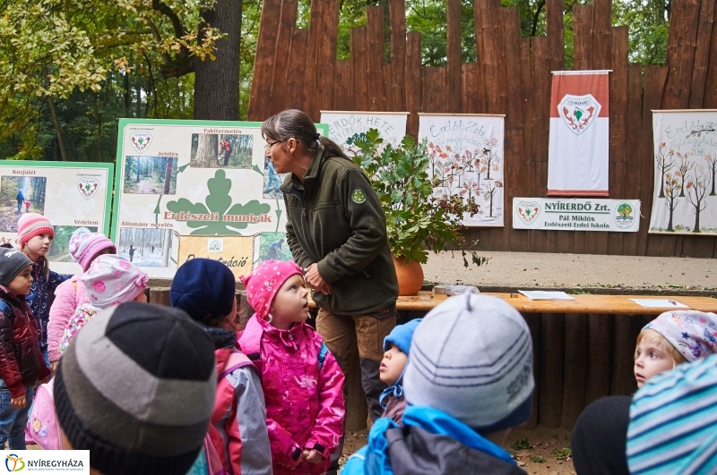 Ismerd meg az erdőt - fotó Szarka Lajos